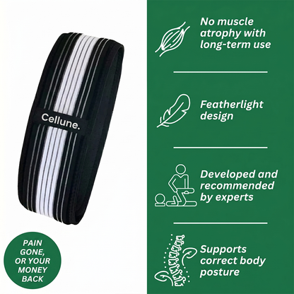 LumbarFlex™ Support Belt